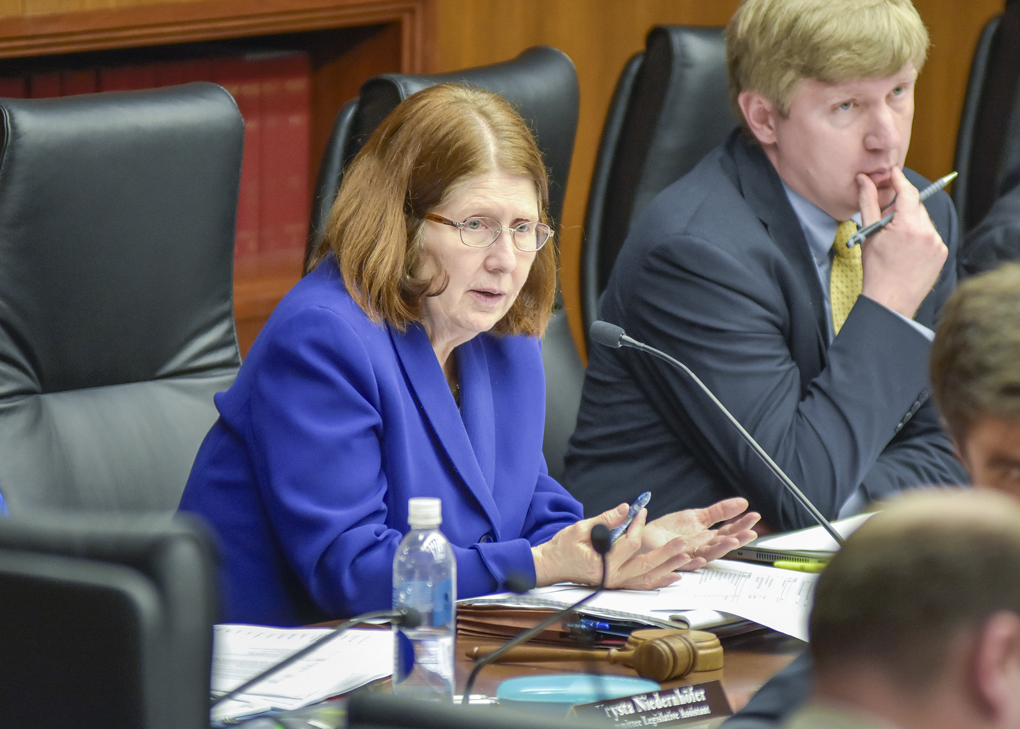 Rep. Tina Liebling, chair of the House Health and Human Services Finance Division, comments during a May 24 informational hearing on the omnibus health and human services finance bill that will be taken up during the special session. Photo by Andrew VonBank